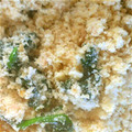ぽる＊'s cooksnap of when they made †ほうれん草とﾂﾅのおからｻﾗﾀﾞ†.