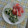 ラリー＆サラ's cooksnap of when they made ささげきゅうりトマトサラダ.