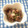 スオ＠修行中's cooksnap of when they made 砂ずりの甘辛炒め煮.