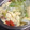 キッチンゼタジュンズ's cooksnap of when they made レタスとトマトのスープ.