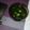 ＊アベリ＊'s cooksnap of when they made 松茸の土瓶蒸し（お吸い物でも）.