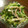 ねとさん's cooksnap of when they made 簡単☆ささみとキュウリの中華風サラダ.