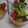 tama-sora's cooksnap of when they made ✿夏野菜の冷やし鉢✿.