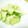 ruruyun's cooksnap of when they made 梨とキュウリのさっぱりサラダ.