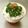 そらおのえくぼ's cooksnap of when they made モロヘイヤ&オクラで最強ごはんのお供♪.