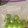horseland's cooksnap of when they made 葡萄を冷凍してみたら….