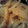 gin15's cooksnap of when they made ヘルシー！れんこんとちくわの甘辛煮！.