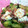 KSBAYK's cooksnap of when they made きゅうりとタコの酢物.