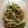 あき0304's cooksnap of when they made 中華くらげときゅうりの和え物.