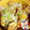 makaroni26's cooksnap of when they made ♪鶏の代わりに厚揚げで丼♪これが旨いのょ.