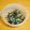 つちかな's cooksnap of when they made カルシウムたっぷり♪ほうれん草のおひたし.