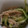 かいたまま's cooksnap of when they made 胡瓜とハムのナムル風.