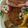 もんすけまま's cooksnap of when they made キャラ弁 リラックマ.