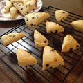 かもぴよ's cooksnap of when they made さくっ＊ふわっ!!スコーン♪.