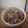 みるく茶's cooksnap of when they made 美味しい炊き方☆雑穀+もち麦+玄米ご飯.