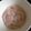 こたつねこくん's cooksnap of when they made 簡単☆ブルーベリーヨーグルトアイス.
