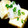 meise17's cooksnap of when they made 簡単！揚げ出し豆腐おろしのせ.