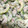 seka854's cooksnap of when they made ゴーヤとツナのしょうゆマヨサラダ.
