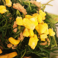 ねっち〜☆'s cooksnap of when they made おかひじきとツナ炒め.