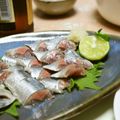 ガメコ's cooksnap of when they made 海鮮！秋刀魚の刺身(秋刀魚の捌き方).