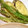 olive11's cooksnap of when they made ずーっとさくさく天ぷら.