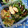 えまっちママ's cooksnap of when they made オクラのゴマ和え.