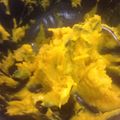 こなつまる's cooksnap of when they made かぼちゃサラダ ヘルシー.