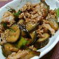もりはん's cooksnap of when they made 豚肉とナスの辛味炒め.