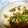 浜木綿1323's cooksnap of when they made 辛くない麻婆豆腐.