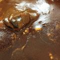 家鳴り's cooksnap of when they made 本気のタンシチュー☆.