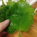 ぷぅしゅけ's cooksnap of when they made 絶対長持ち！しその保存法.