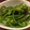 marmite☆'s cooksnap of when they made ピーマンと塩昆布とゴマ油の和え物.