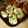 せつみか's cooksnap of when they made あまった枝豆で卵焼✿.