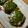 のじまさん's cooksnap of when they made 香味野菜たっぷりの鶏つくね.