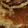 butter314's cooksnap of when they made りんごのホットケーキ.