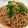 westerly's cooksnap of when they made 簡単栄養アップ！豆苗そうめん.