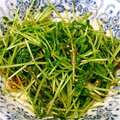 westerly's cooksnap of when they made 簡単☆豆苗のごま和え.