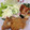 LeyLeyLeys's cooksnap of when they made 豚の生姜焼き.