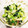 こぴたまご's cooksnap of when they made 白菜とほうれん草のWおひたし.