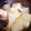 あかりんぼう☆'s cooksnap of when they made 冬瓜と手羽先のほんのり中華煮.