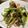ぽんずー's cooksnap of when they made 空心菜とベーコンのニンニク炒め.