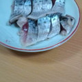 わがままきままどすえ's cooksnap of when they made しめさば.