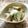 Satoco❋'s cooksnap of when they made シャキシャキっと！柿のサラダ.