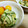さわノート's cooksnap of when they made ささみときゅうりのからし和え.