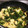 sayoringo's cooksnap of when they made 小松菜とササミのオイスターソース炒め.