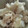 みっくママ's cooksnap of when they made 目覚めすっきり☆　ガリとミョウガのご飯.