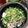 紺さん's cooksnap of when they made 薬味たっぷり！さっぱり焼き鯖ごはん。.