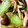 sanama0826's cooksnap of when they made 青梗菜としめじのオイスター炒め.