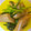 じゃくそん's cooksnap of when they made 空芯菜とウインナーの簡単炒め.