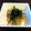 Pupinon's cooksnap of when they made れんこんとサバのしょうゆマヨ煮.